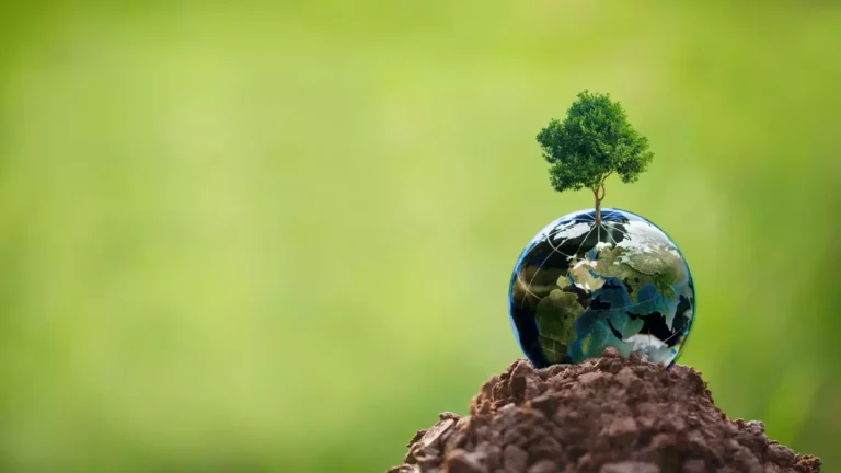 planète avec arbre sur bilan carbone entreprise